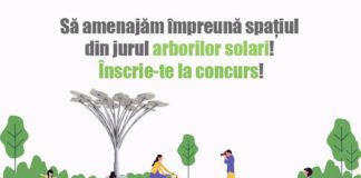 Competiţia de creare a spațiului aferent arborilor solari
