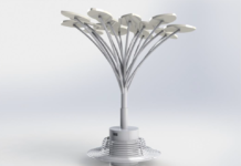 Pretura Râșcani: Vom avea un copac solar