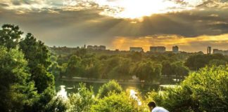 Din prima sursă: Serghei Carp – despre protejarea spațiilor verzi din Municipiul Chișinău