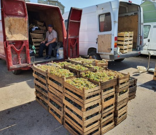 În Chișinău a fost deschis un iarmaroc de comercializare a strugurilor
