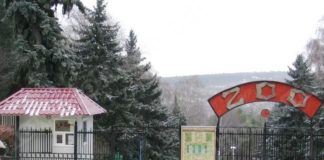 Grădina ZOO din Chișinău, mai bogată cu 11 animale