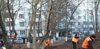 Sedinţa Consiliului Pentru Protecţia Drepturilor Copilului In