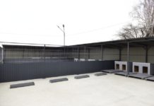 Extinderea capacității Centrului de gestiune canină din municipiul Chișinău