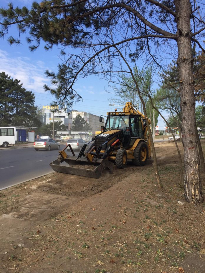 Lucrări de amenajare a spațiilor verzi în sectorul Râșcani