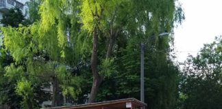 Salubrizarea și dezinfectarea sectorului Ciocana de către serviciile municipale din data de 02.06.2020