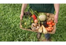 Experţi din Cehia vor evalua proiectele de agricultură ecologică din Moldova