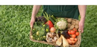 Experţi din Cehia vor evalua proiectele de agricultură ecologică din Moldova