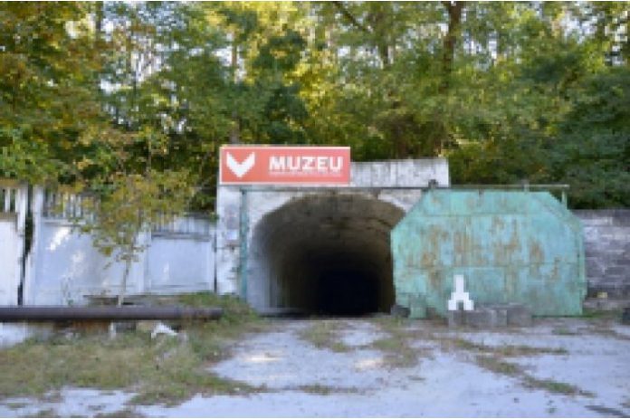 21007456_big1633605096