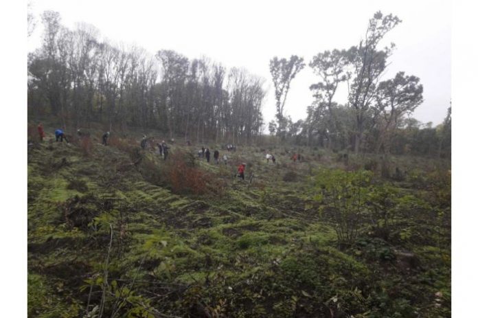 21007937_big1634893258