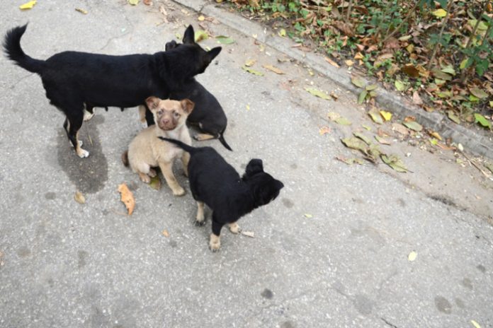 1087406__61f110860fd4d