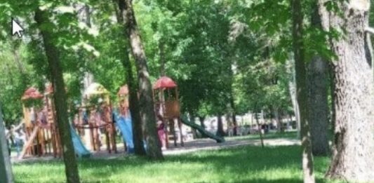 Ultima Oră! Șeful de la ”Spații Verzi” va fi eliberat din funcție