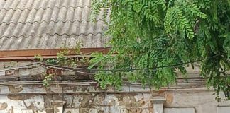 Casa celebrului sculptor Alexandru Plămădeală. Autorul monumentului lui Ștefan Cel Mare