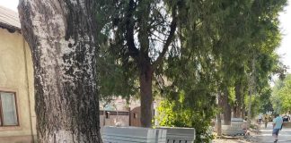 Peste 80 de containere vandalizate în Capitală. Regia „Autosalubritate”, face apel către toți locuitorii
