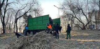 Muncitorii Spațiilor Verzi au început lucrările de curățare a malurilor lacului din Parcul „La Izvor”