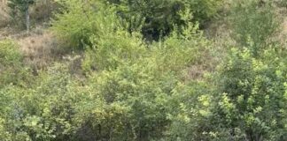 Salvatorii din capitală au salvat un biciclist căzut la o adâncime de 15 metri