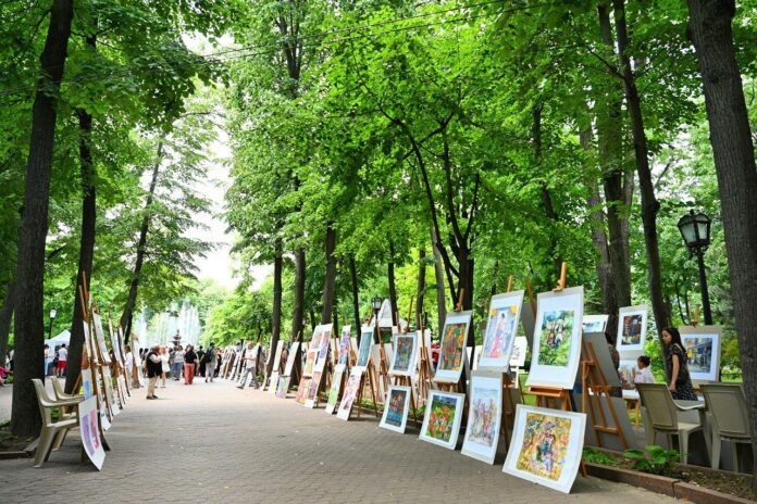 photo_5197388956692498704_y