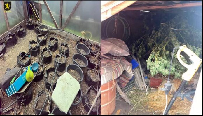 4791c7f7-0dc1-4e96-9083-4d3692475437