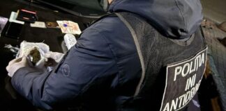 Polițiștii antidrog destructurează o grupare specializată în traficul de marijuana în Chișinău