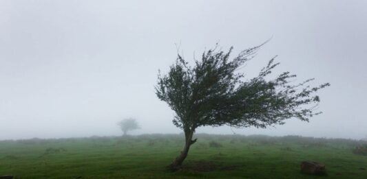 Atenție, chișinăuieni! Meteorologii au emis cod galben de intensificări ale vântului