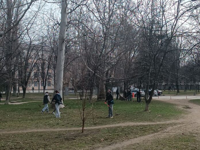 photo_2026-03-16_10-12-15