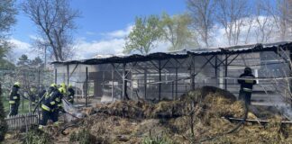 Incendiu la un hambar din Chișinău: intervenție a pompierilor pe Calea Orheiului