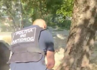 Rețea de droguri destructurată în Chișinău: doi tineri reținuți în flagrant