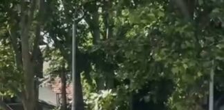 Poliția Națională: șoferi sancționați pentru circulație pe banda destinată bicicliștilor în centrul capitalei