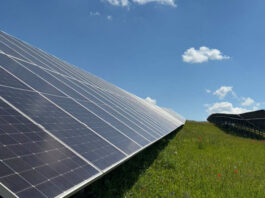 Vadul lui Vodă: Va fi construit un parc fotovoltaic de 30 MW, cu sistem de stocare de 60 MWh