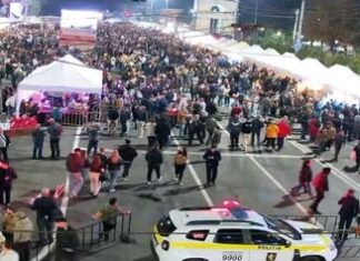 Poliția: Ziua Națională a Vinului s-a desfășurat în condiții de ordine și siguranță